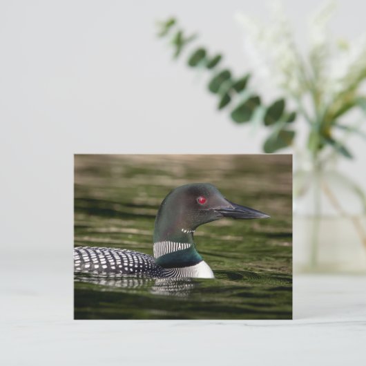 Common Loon on op Jabe Pond Briefkaart (Staand voorkant)