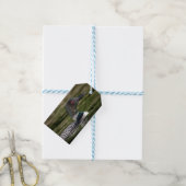 Common Loon on op Jabe Pond Cadeaulabel (Met Touw)