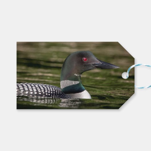 Common Loon on op Jabe Pond Cadeaulabel (Voorkant (Horizontaal))