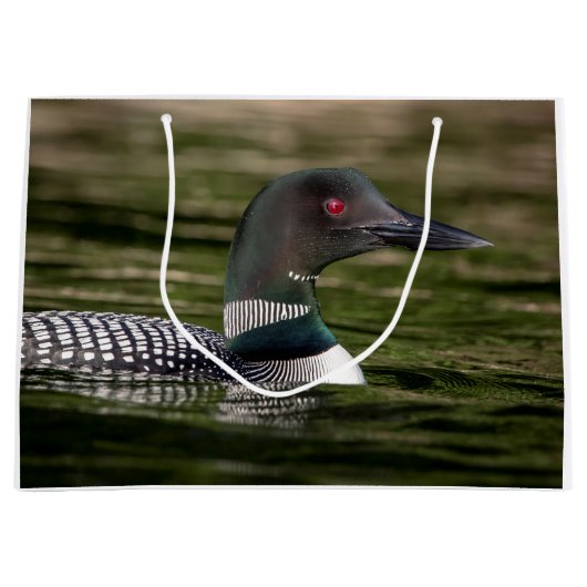 Common Loon on op Jabe Pond Groot Cadeauzakje (Voorkant)
