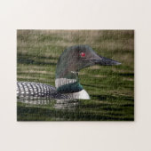 Common Loon on op Jabe Pond Legpuzzel (Horizontaal)