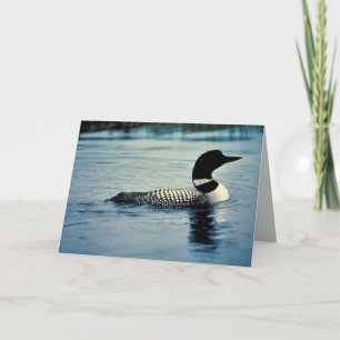 Common Loon on Water Kaart