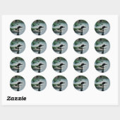 Common Loon on Water Ronde Sticker (Vel)