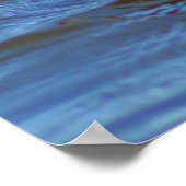 Common Loon Poster (Hoek)