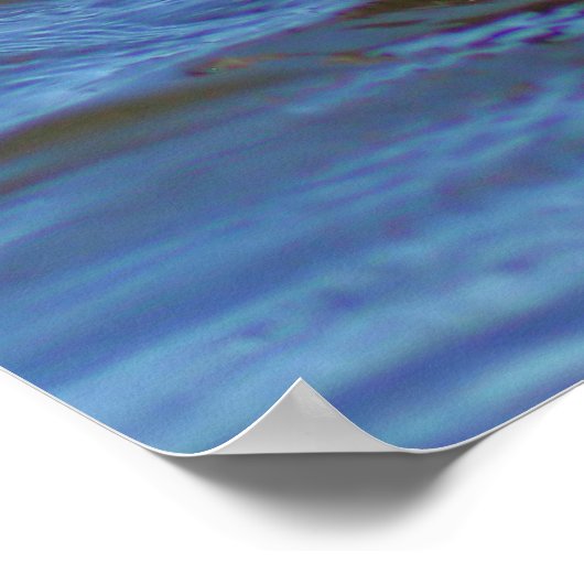 Common Loon Poster (Hoek)