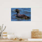 Common Loon Poster (Keuken)