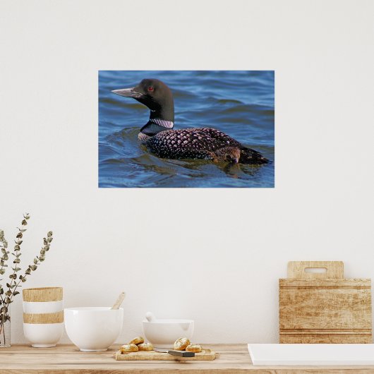 Common Loon Poster (Keuken)