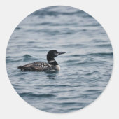 Common Loon Ronde Sticker (Voorkant)