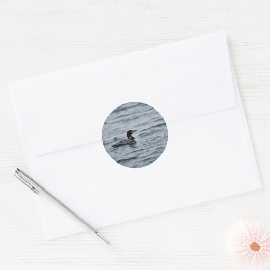 Common Loon Ronde Sticker (Envelop)