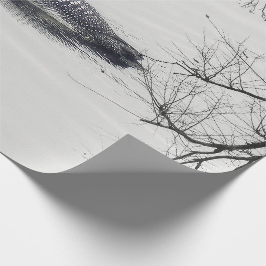 Common Loon zwemt in een noordelijk meer in de win Cadeaupapier (Hoek)