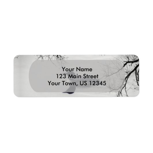 Common Loon zwemt in een noordelijk meer in de win Etiket (Voorkant)