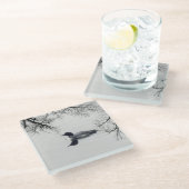 Common Loon zwemt in een noordelijk meer in de win Glazen Onderzetter (Schuin)