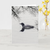 Common Loon zwemt in een noordelijk meer in de win Kaart (Gele Bloem)