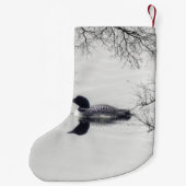 Common Loon zwemt in een noordelijk meer in de win Kleine Kerstsok (Achterkant)