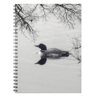 Common Loon zwemt in een noordelijk meer in de win Notitieboek
