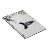 Common Loon zwemt in een noordelijk meer in de win Notitieboek (Rechterzijde)