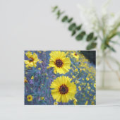 Common Madia Flowers in Sequoia National Park Briefkaart (Staand voorkant)