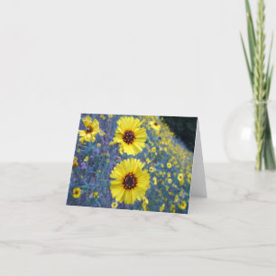 Common Madia Flowers in Sequoia National Park Kaart