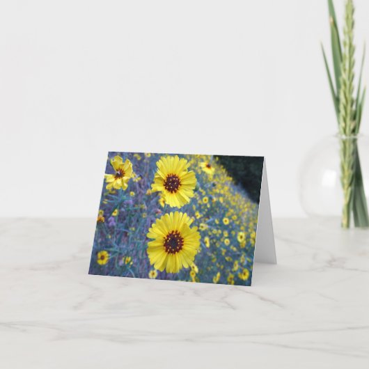 Common Madia Flowers in Sequoia National Park Kaart (Voorkant)