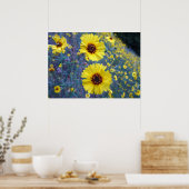 Common Madia Flowers in Sequoia National Park Poster (Keuken)