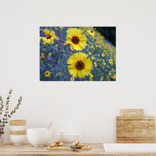 Common Madia Flowers in Sequoia National Park Poster (Keuken)