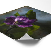Common Mallow Poster (Hoek)