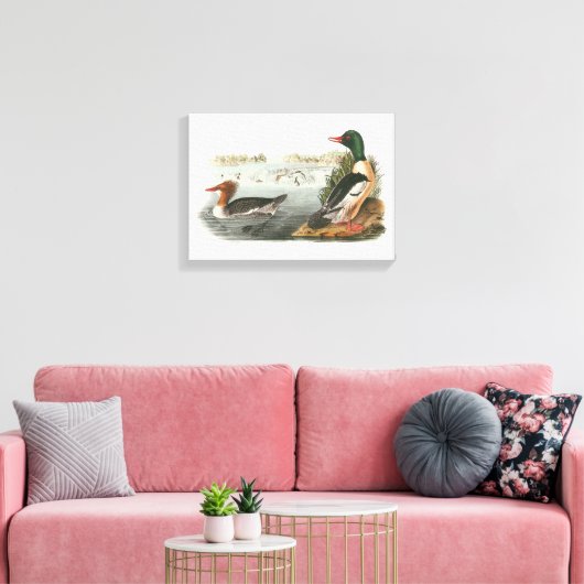 Common Merganser door Audubon Canvas Afdruk (Insitu (Woonkamer))
