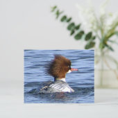 Common Merganser met zijn magestic Crest Briefkaart (Staand voorkant)