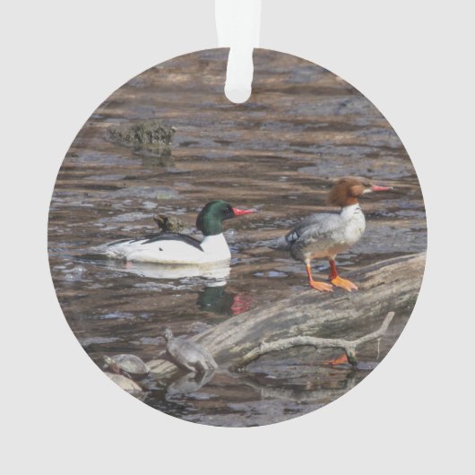 Common Merganser Ornament (achterkant)