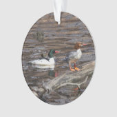 Common Merganser Ornament (voorkant)