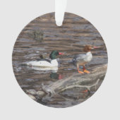 Common Merganser Ornament (voorkant)
