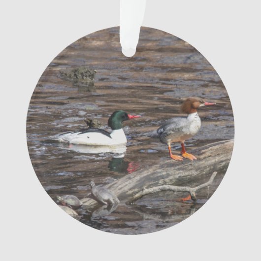 Common Merganser Ornament (voorkant)