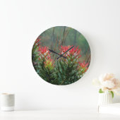 Common Mimetes (Mimetes Cucullatus) Grote Klok (Huis)