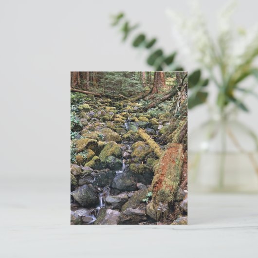 Common Minnesota rock bed stream van het bos Briefkaart (Staand voorkant)