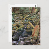 Common Minnesota rock bed stream van het bos Briefkaart (Voorkant / Achterkant)