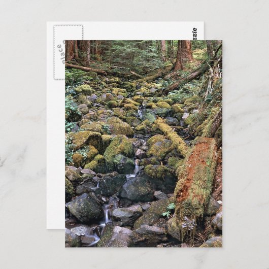 Common Minnesota rock bed stream van het bos Briefkaart (Voorkant / Achterkant)