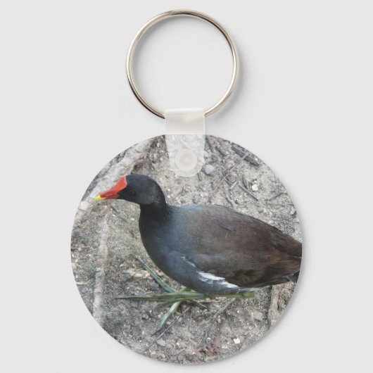 Common Moorhen Sleutelhanger (Voorkant)