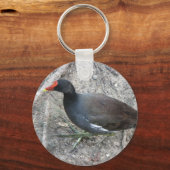 Common Moorhen Sleutelhanger (Voorkant)