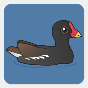 Common Moorhen Vierkante Sticker