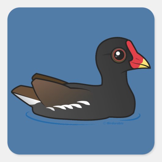 Common Moorhen Vierkante Sticker (Voorkant)