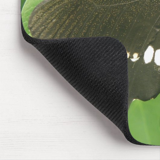 Common Mormon Butterfly Mousepad Muismat (Hoek)