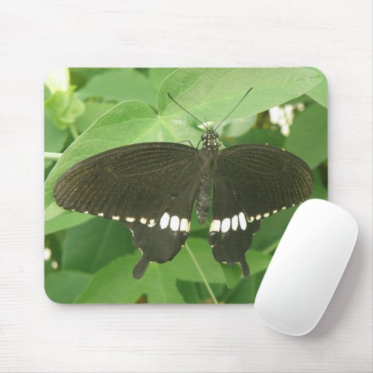 Common Mormon Butterfly Mousepad Muismat (Met muis)