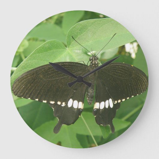 Common Mormon Butterfly Wall Clock Grote Klok (Voorkant)