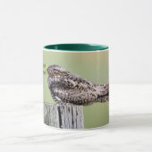 Common Nighthawk Mok (Midden)