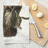 Common or Southern Flying Squirrel of The Assapan Theedoek (Quarter Fold)