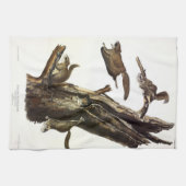 Common or Southern Flying Squirrel of The Assapan Theedoek (Horizontaal)