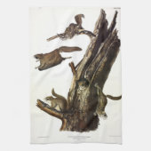 Common or Southern Flying Squirrel of The Assapan Theedoek (Verticaal)