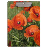 Common Poppies Klembord (Voorkant)