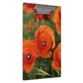 Common Poppies Klembord (Rechts)