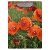 Common Poppies Klembord (Voorkant)